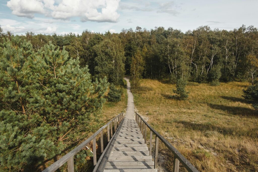 Plan duszy – Czy naprawdę masz swoją unikalną ścieżkę? Narrow path with fences between meadows and overgrown trees under cloudy sky in autumn on sunny day